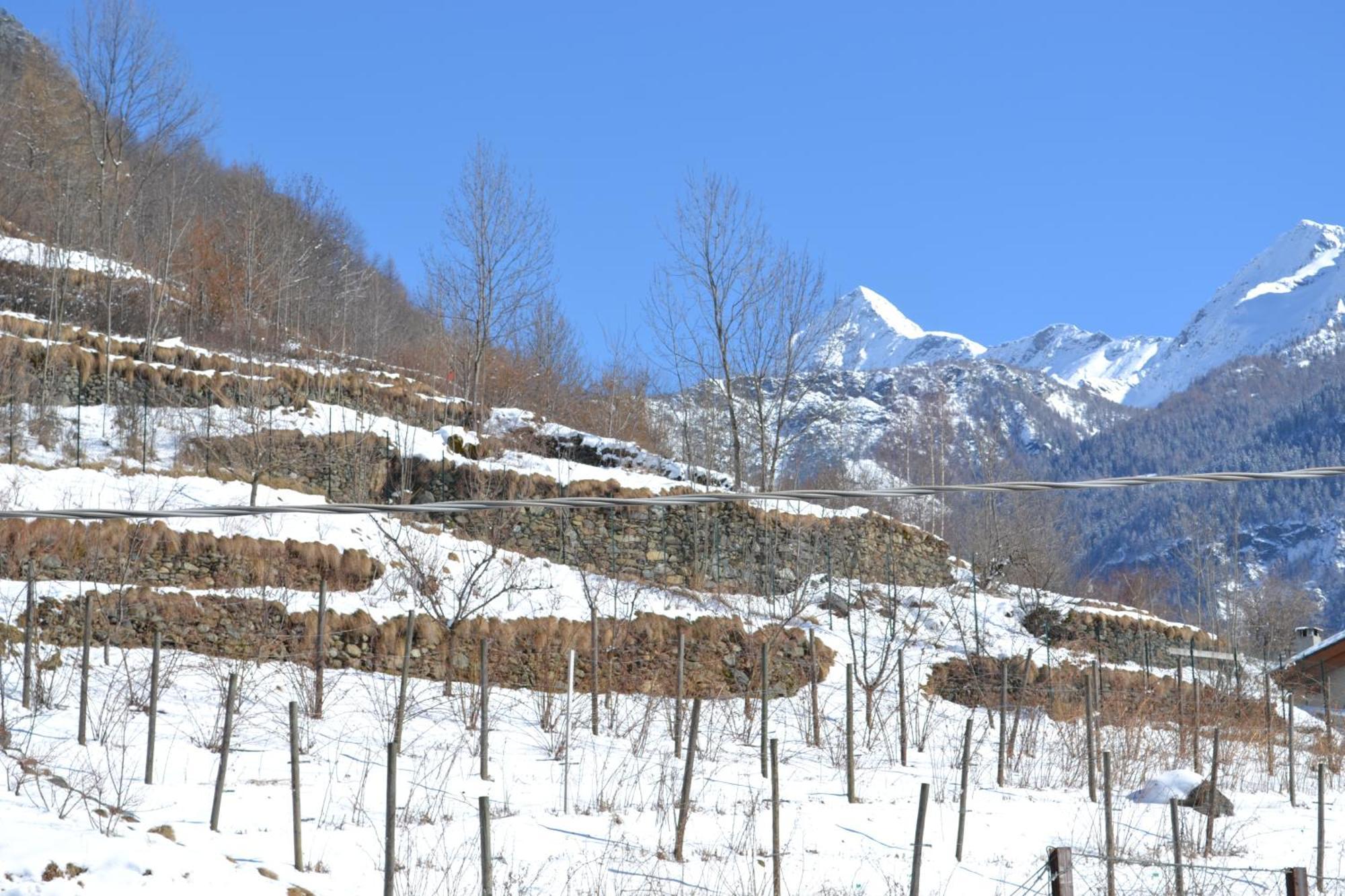 Casa Vacanza La Rocca Apartment Chiesa in Valmalenco Exterior photo